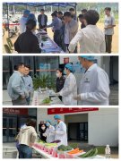 <strong>米面油、新颖蔬划</strong>